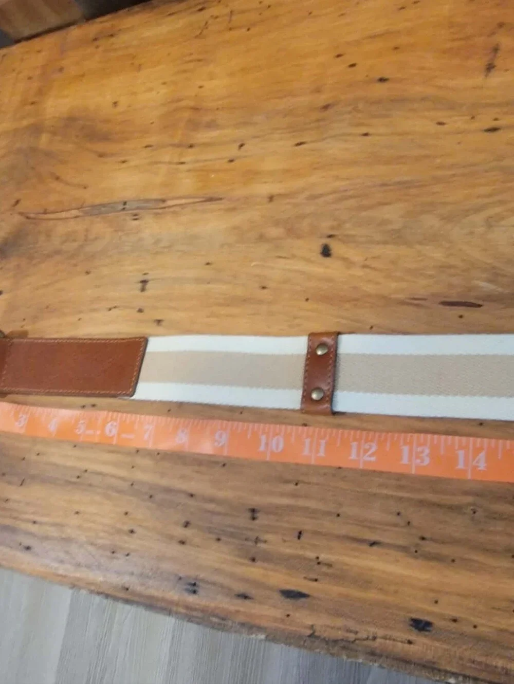 French Connection Cream & Tan Canvas and Brown Cow Leather Belt w/Brass Buckle